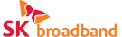 SK broadband